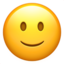 :slightly_smiling_face: 🙂
